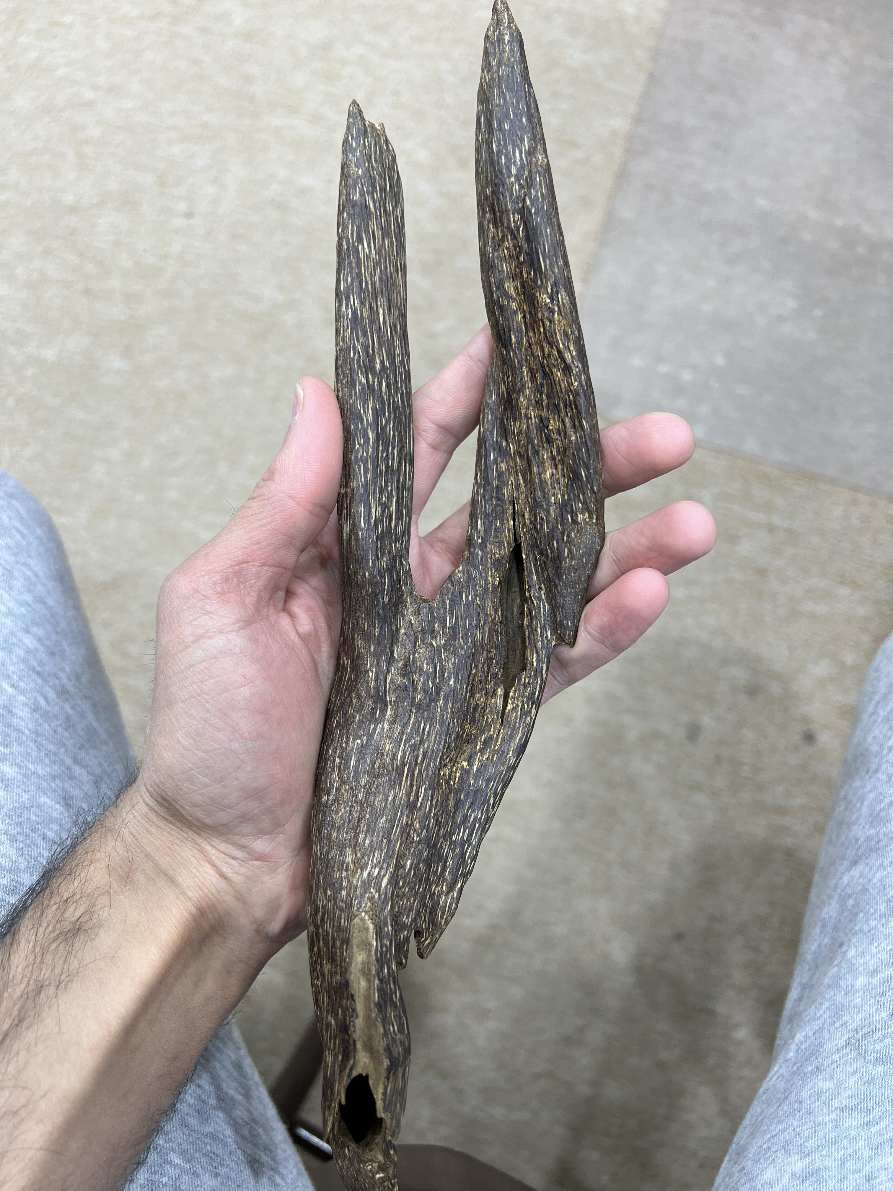 [Ouddict.com] Oud Photos