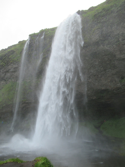 IMG 0429