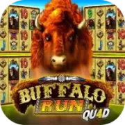 Buffalo-Run-Quad