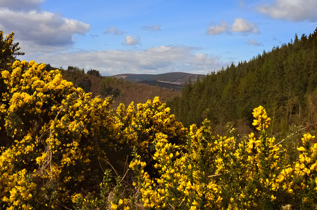DSCF2273.jpg