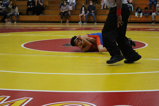 IMG-0061