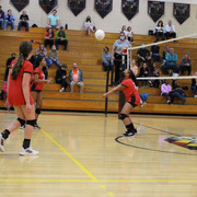 IMG-0295