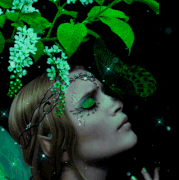 5.gif