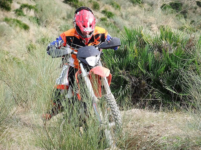 DSCF2342.jpg