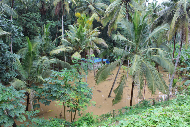 IMG 0563.jpg