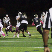 IMG-8517