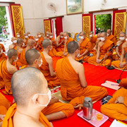 IMG-7232