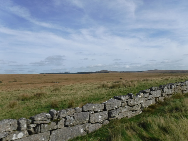 DSCF5516.jpg