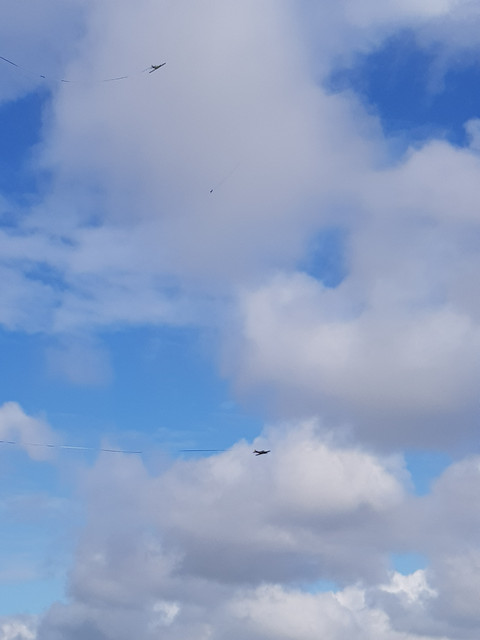 20220515-101823.jpg