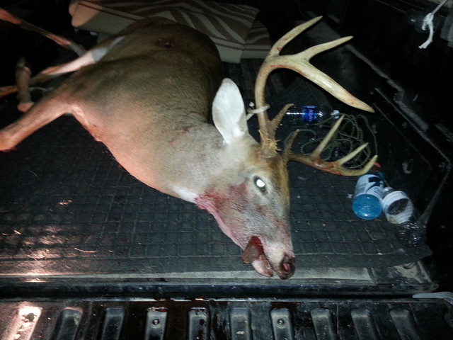buck2