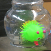 IMG-0154
