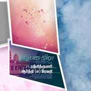 2024 -TAMIL FLEX COLLECTION