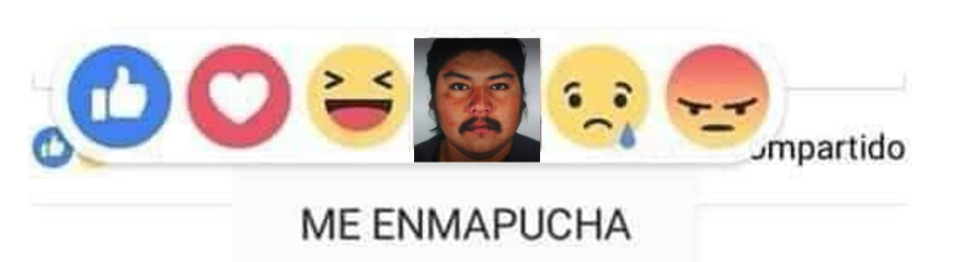 me-enmapucha.png