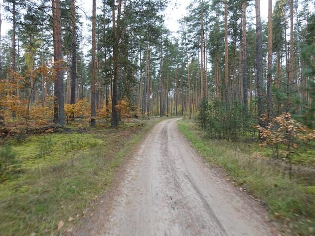 DSC01680.jpg