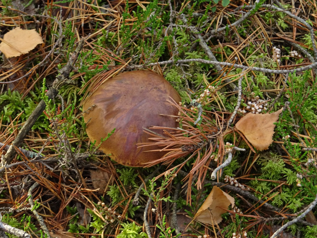 DSC05501
