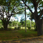 P1070143