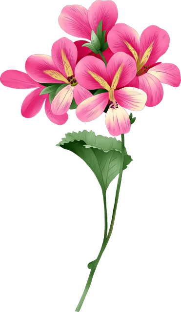 c8f5b365cfd61747f696f0ec778b2a65.png