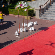 MRM-Events-373