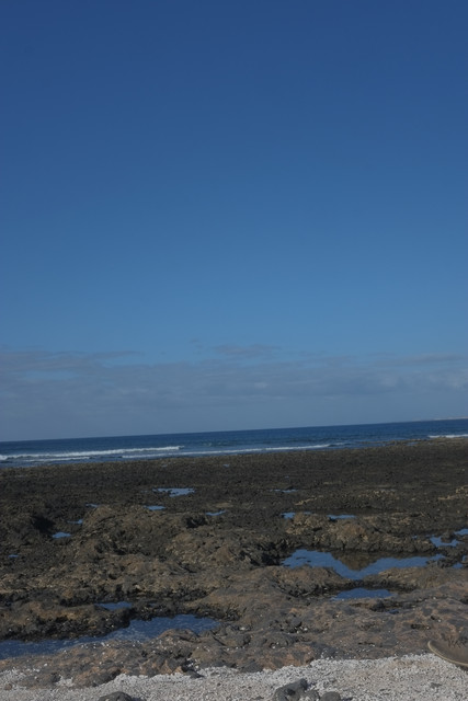 DSCF8469