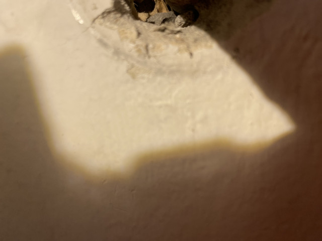 IMG-1730