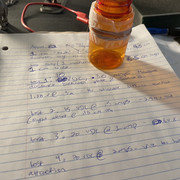 IMG-1381