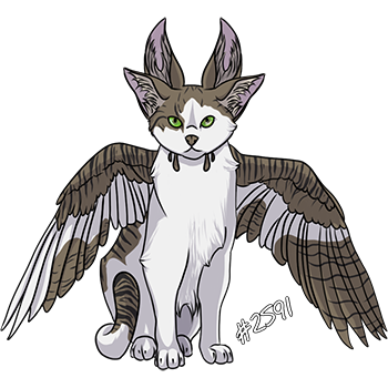 Pet Image