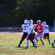IMG-0516