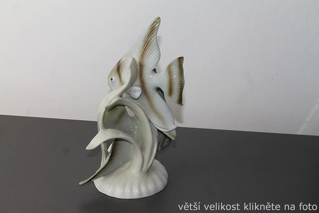 IMG-7902.jpg