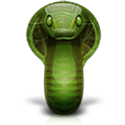python