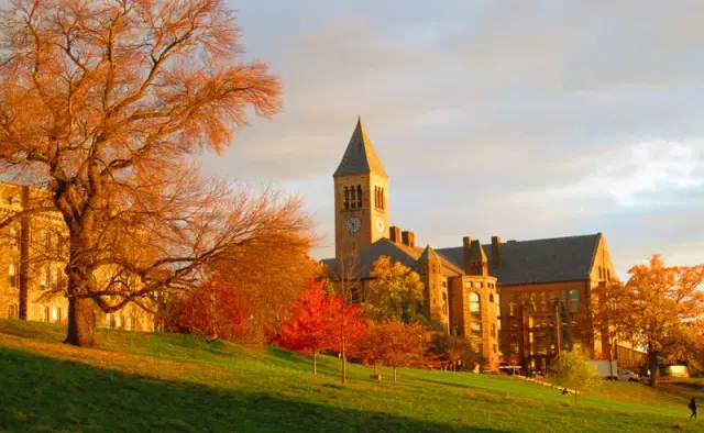 S College Pictures great.webp