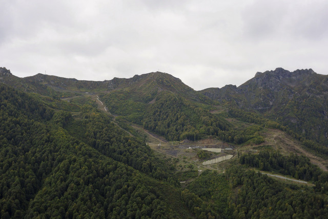 DSC7138.jpg