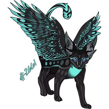Pet Image