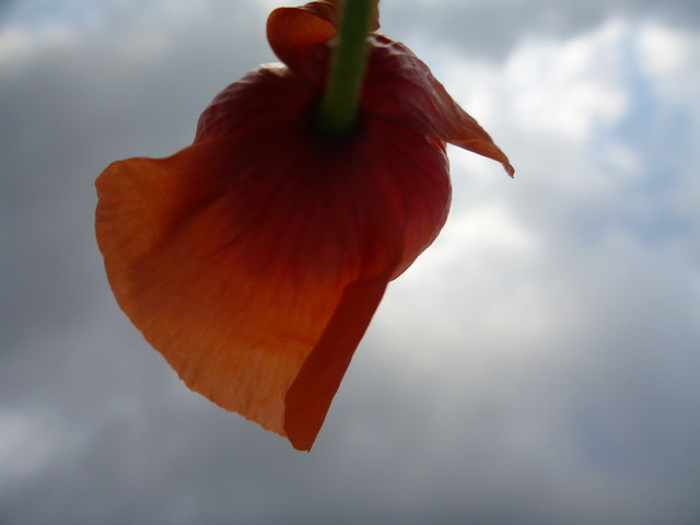 2017-04-28-071