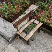 IMG-2788