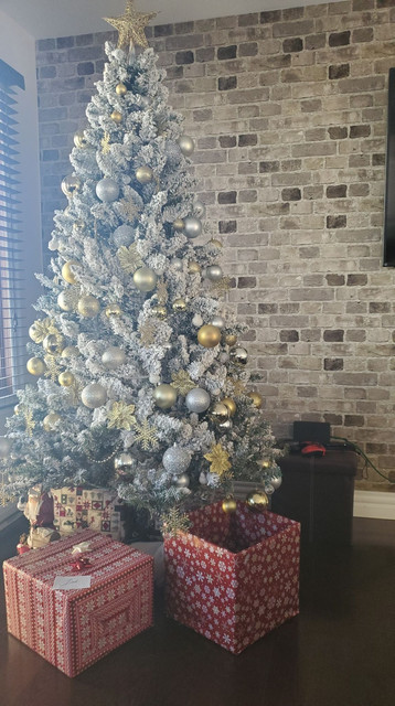 sapin2-2