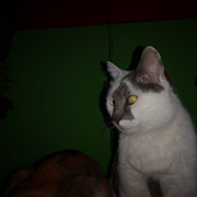 IMG-20220124-025447