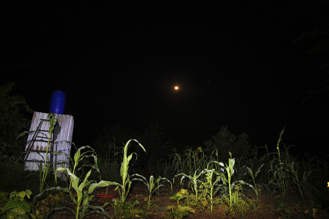 100c010084m