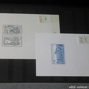IMG-2389