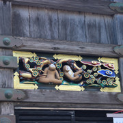 IMG-2621