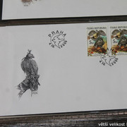 IMG-2664