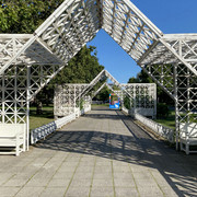 IMG-2343