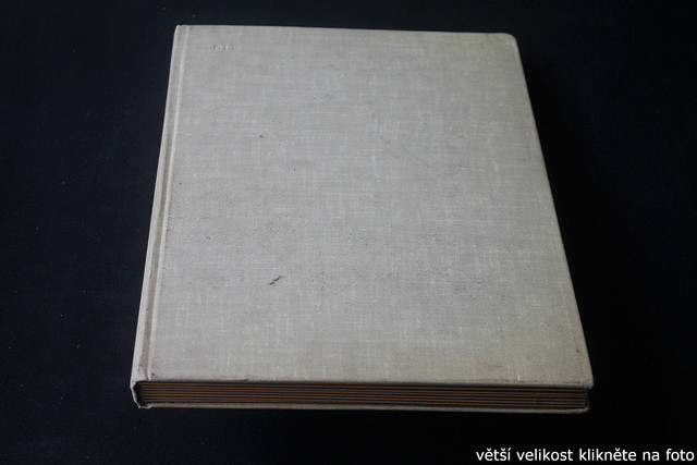 IMG-3539.jpg