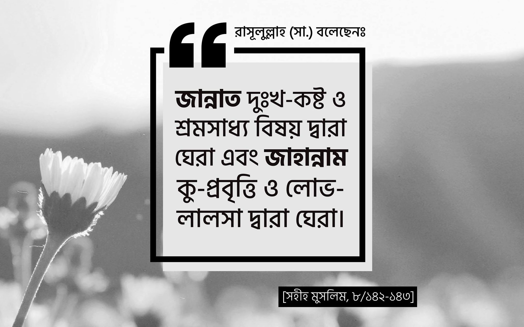 জান্নাত, জাহান্নাম, দুঃখ, কষ্ট