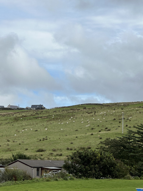 IMG-6238