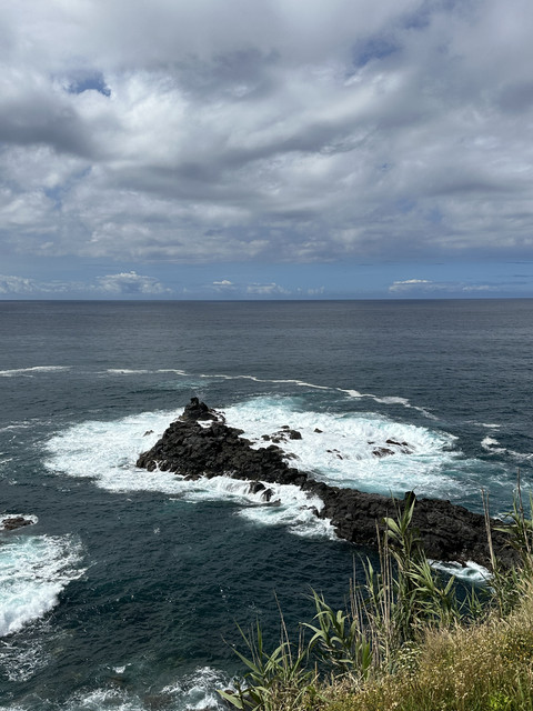 IMG-3710