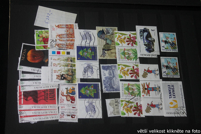 IMG-3535.jpg