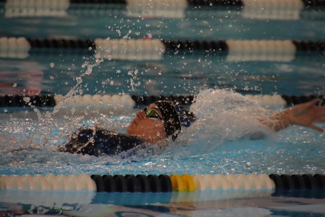 IMG-0071