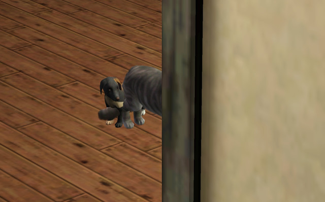 Screenshot-323
