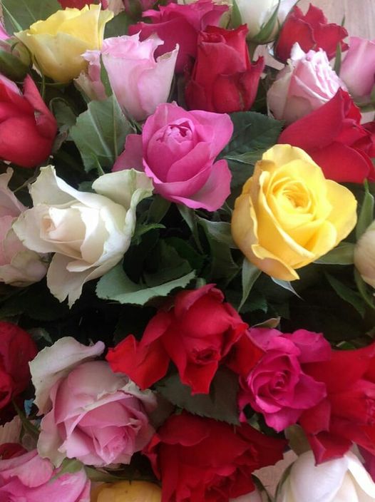 Чайная беседка