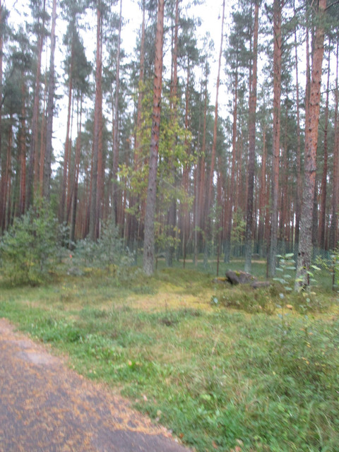 IMG-9650